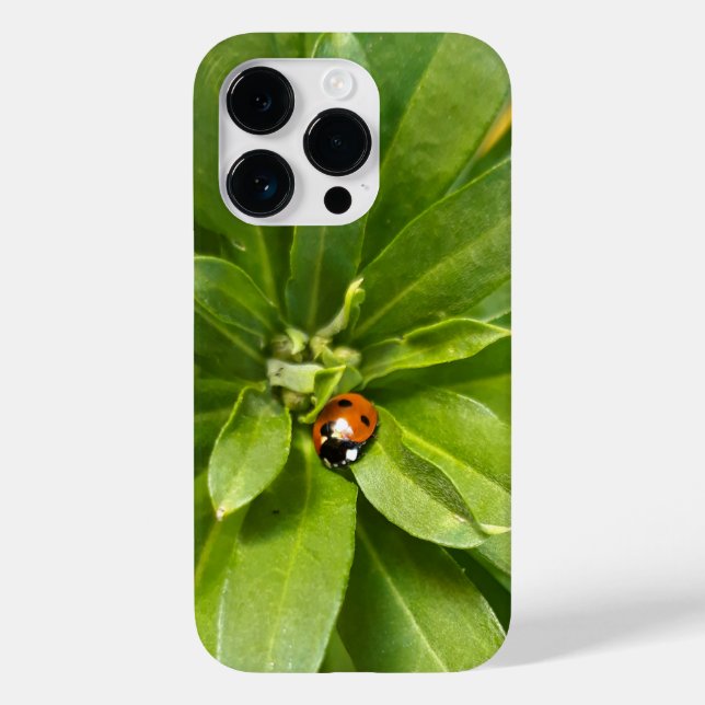Ladybug em Flores (Verso)