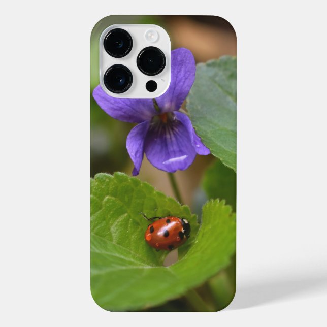 Ladybug em Flores de Violeta Doce (Verso)