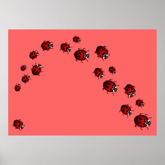 Ladybug Impressão Ladybird Art Grande Poster (Frente)