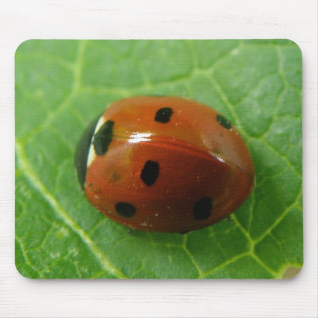 Ladybug Mousepad (Frente)