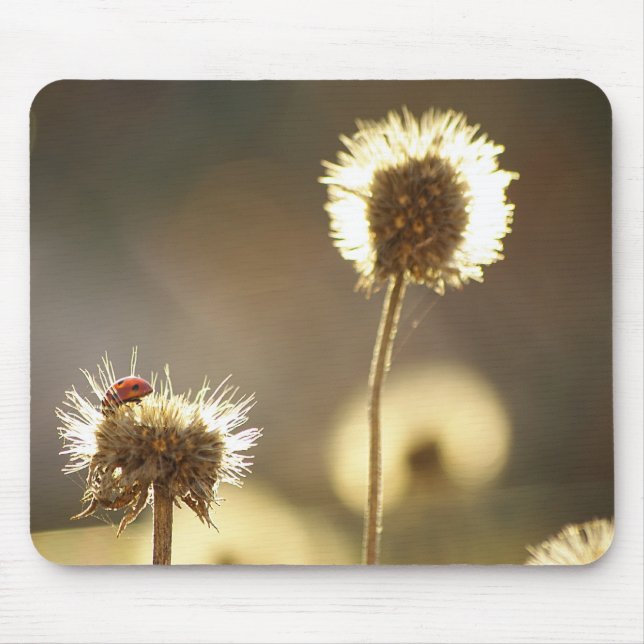 Ladybug Mousepad (Frente)