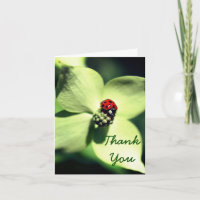 Ladybug No Cartões de agradecimentos Da Flor