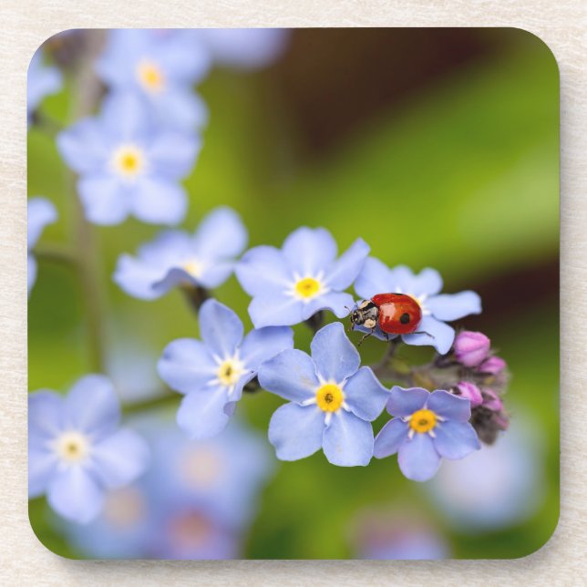 Ladybug no Forget-me-not Porta copos (Frente)