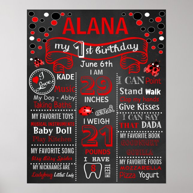 LadyBug - Primeiro Quadro de Aniversário - poster (Frente)