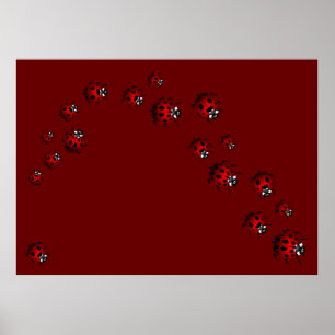 Ladybug Print Ladybird Art Large Ladybug Poster