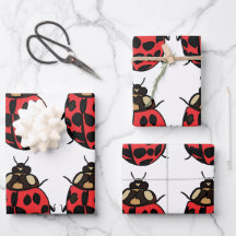 Ladybug Red Black Insett Ladybug