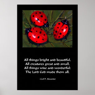 LADYBUG TODAS AS COISAS BRILHAM POSTER