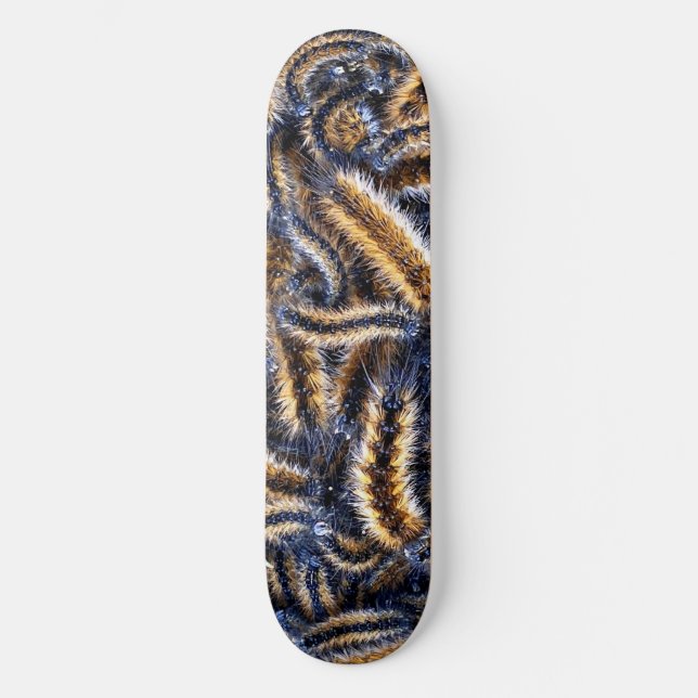Lagarta Skate (Frente)