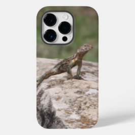 Lagarto