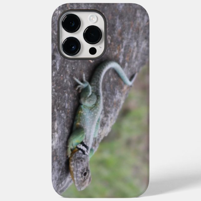 Lagarto (Verso)