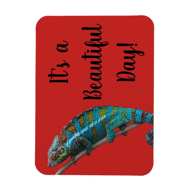 Lagarto Azul, Dia Lindo, Ímã Vermelho (Vertical)