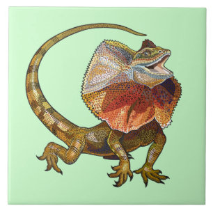 lagarto-de-coleira