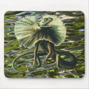 Lagarto Mousepad de Jesus