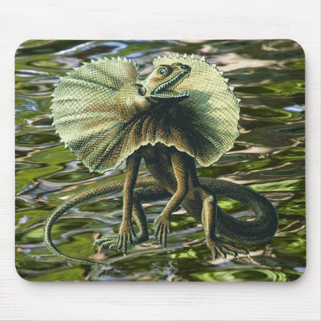 Lagarto Mousepad de Jesus (Frente)