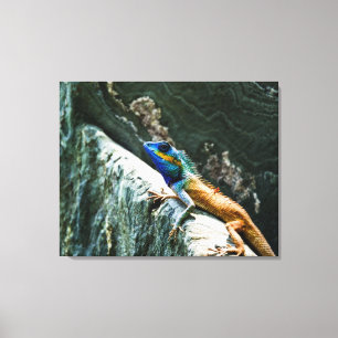Lagarto oriental do jardim - canvas