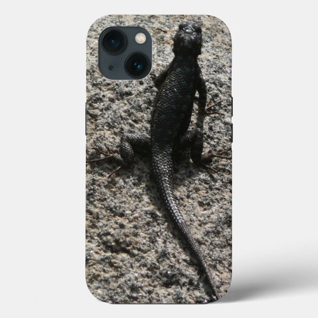 Lagarto Preto (Verso)