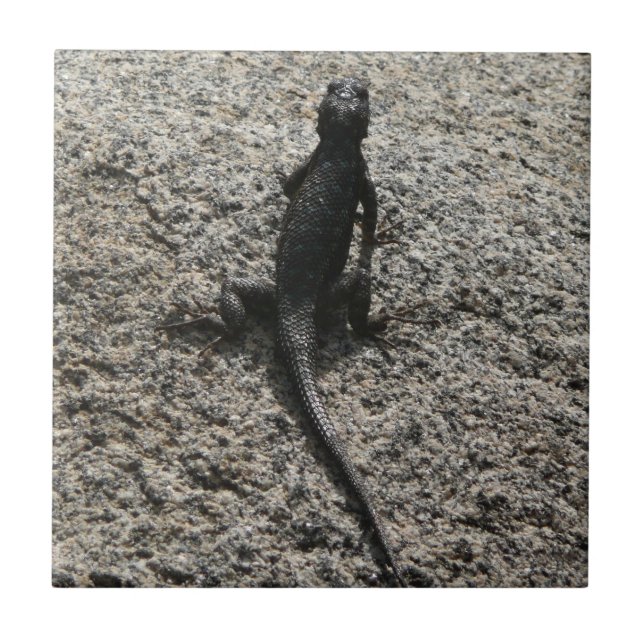 Lagarto Preto (Frente)