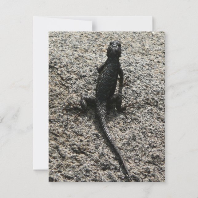 Lagarto Preto (Frente)