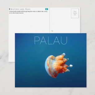 Lago de Água-Viva, Palau Cartão Postal de Viagem