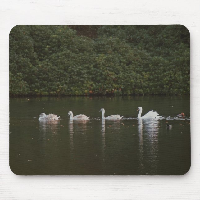 Lago de Swan Mousepad (Frente)