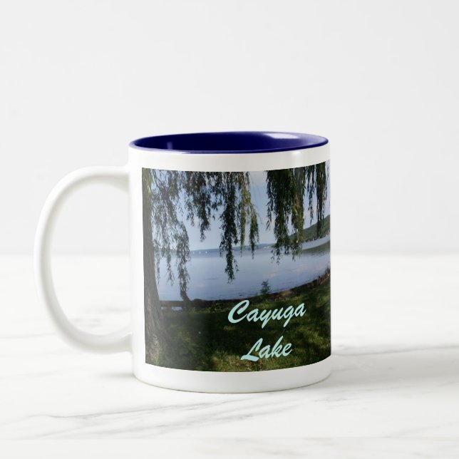 LAGO do CAYUGA, caneca do PARQUE de STUART (Esquerda)