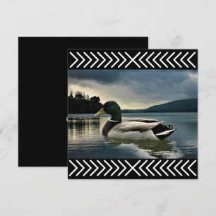 Lago Mallard Duck