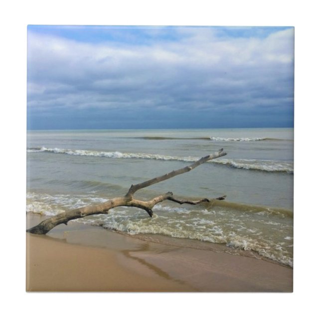 Lago Michigan, Sheboygan, Wisconsin (Frente)