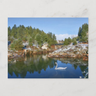 Lago Mountain, Swan, Cartão postal Reflexo