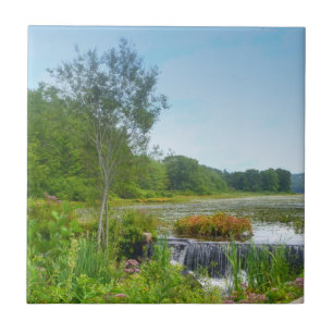 Lago Quanipaug Trivet