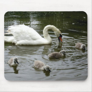 Lago Swan - Mousepad