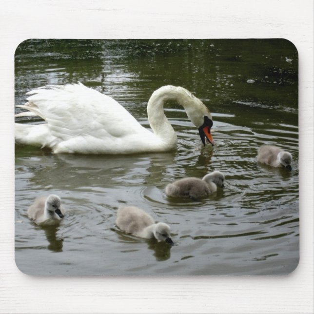 Lago Swan - Mousepad (Frente)
