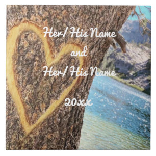 Lago Tahoe Blue Water Tree Heart Love