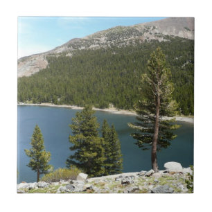 Lago Tenaya no Parque Nacional de Yosemite