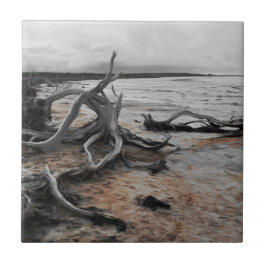 Lago Tyrrell Natural Forces