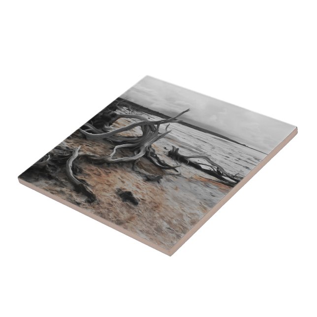 Lago Tyrrell Natural Forces (Lateral)