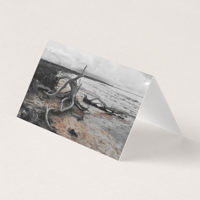 Lago Tyrrell Natural Forces Folheto (Frente)