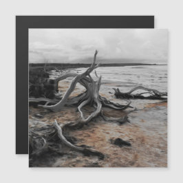 Lago Tyrrell Natural Forces Magnetic Card