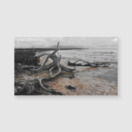 Lago Tyrrell Natural Forces Magnetic Card