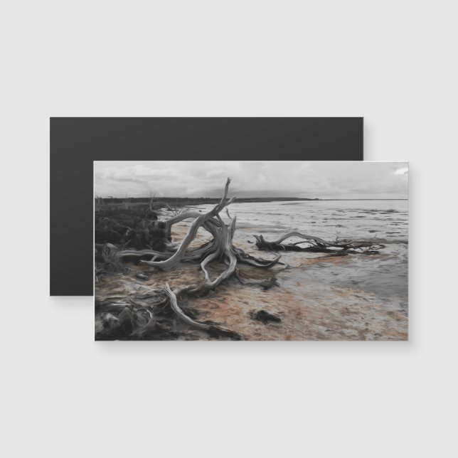 Lago Tyrrell Natural Forces Magnetic Card (Frente/Verso)