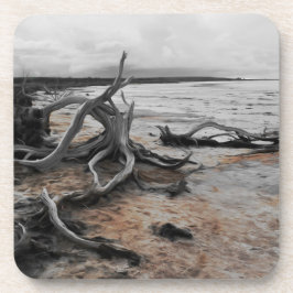 Lago Tyrrell Natural Forces Porta copos Plástica