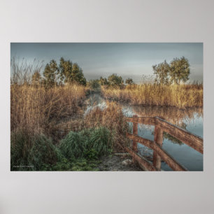 Lagoa na Impressão da manhã