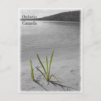 Lagos de Ontário, Canadá - Cartão postal preto e b