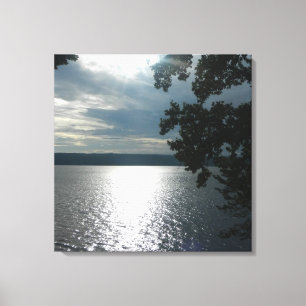 LAGOS DEDO, canvas LAGO CAYUGA