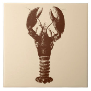 Lagosta de Brown escuro no bege claro