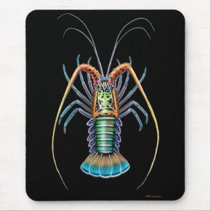 Lagosta espinhoso pintada Mousepad