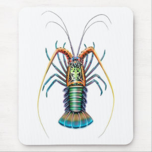 Lagosta espinhoso psicadélico Mousepad