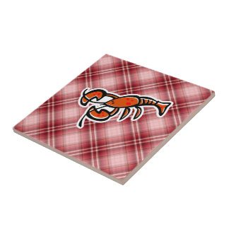 Lagosta vermelha da xadrez