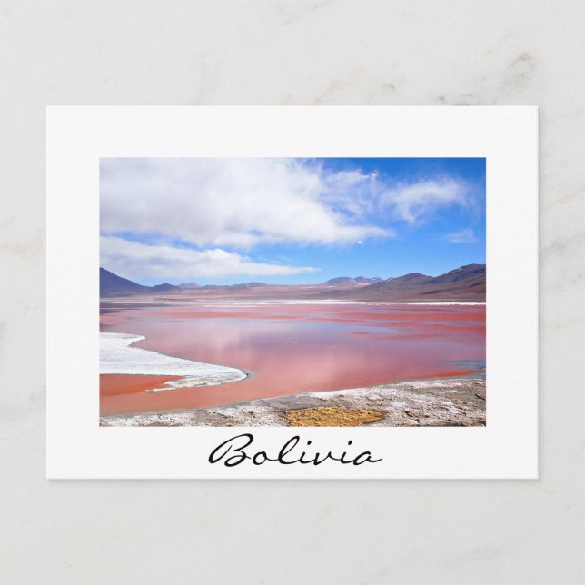 Laguna Colorada na Bolívia — cartão postal branco  (Frente)