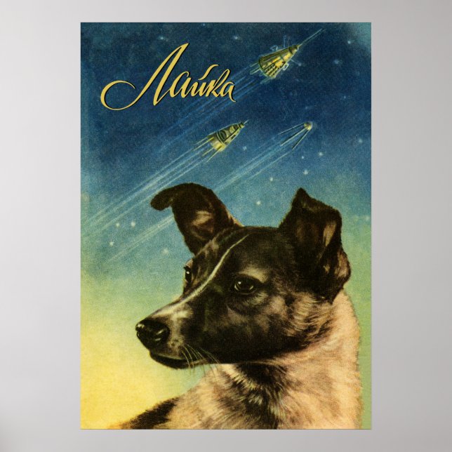 Laika, primeiro cão espacial — poster do espaço so (Frente)