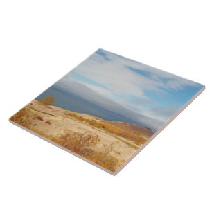 "LAKE MICHIGAN EM DUNAS DE URSO DE DORMIR"